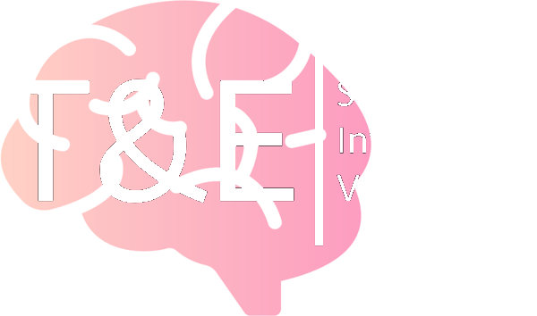 T&E Sensorische Informatie Verwerking